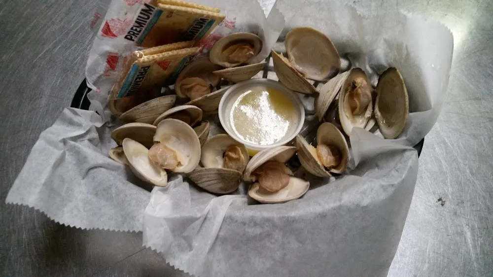 Clam
